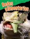 Redes alimentarias (Food Webs) (Spanish, Paperback): Lisa Perlman Greathouse