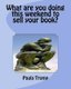 What are you doing this weekend to sell your book? (Paperback): Paula Tromp