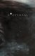 Nocturnal (Paperback): Wilder Poetry