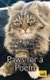Paws for a Poem - For all misplaced cats (Paperback): Cats Protection