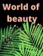 World Of Beauty - Coloring Book with Women Pictures Perfect Gift Wonderul Way To Relax (Paperback): Canada Quattro