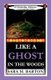 Like a Ghost in the Woods (Paperback): Sara Barton
