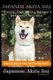 Japanese Akita Inu Training, Dog Care, Dog Behavior, for Japanese Akita Inus By D!G THIS DOG Training, Training Begins From the...