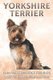 Yorkshire Terrier - Fun Facts on Dogs for Kids #9 (Paperback): Michelle Hawkins