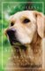 Service Tails (Paperback): Ace Collins