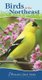 Birds of the Northeast - Your Way to Easily Identify Backyard Birds (Spiral bound): Stan Tekiela