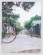 Dan Rees: Road Back to Relevance (Paperback): Dan Rees