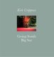 Going South: Big Sur (Hardcover): Kirk Crippens