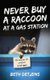 Never Buy a Raccoon at a Gas Station - Life Lessons for Children of All Ages (Paperback): Beth Detjens