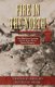 Fire in the North - The Minnesota Uprising and the Sioux War in Dakota Territory (Paperback): Thomas D Phillips, Reuben D Rieke