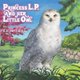 Princess L.P. and Her Little Owl (Paperback): K D Mitchell