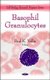 Basophil Granulocytes (Hardcover): Paul K. Vellis