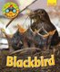 Wildlife Watchers: Blackbird 2017 (Paperback): Ruth Owen