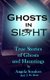 Ghosts In Sight (Paperback): J.M Dean, Angela Souders