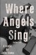 Where Angels Sing - Spoilers #2 (Paperback): John Stamp