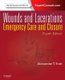 Wounds and Lacerations - Emergency Care and Closure (Expert Consult - Online and Print) (Hardcover, 4th edition): Alexander T....