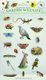 Garden Wildlife (Stickers): Caz Buckingham, Andrea Pinnington