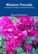 Wisdom Prevails: An Islamic Thought of Wonderful Living (Paperback): Qamrul Khanson