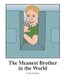 The Meanest Brother in the World (Paperback): Jim Van Dyke