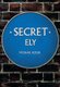 Secret Ely (Paperback): Michael Rouse