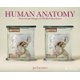 Human Anatomy - Stereoscopic Images of Medical Specimens (Hardcover): Jim Naughten