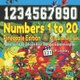 Numbers 1 to 20. Pineapple Edition. Bilingual Spanish-English - Numeros 1 a 20. Edicion Pina. Bilingue Espanol-Ingles...