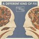 Bombay Bicycle Club - A Different Kind of Fix (Vinyl record): Bombay Bicycle Club