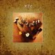 Todd Rundgren - Skylarking (Corrected Polarity Edition) (CD): Todd Rundgren