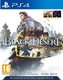 Black Desert: Prestige Edition (PlayStation 4): 