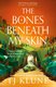 The Bones Beneath My Skin: TJ Klune