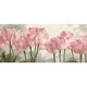 DIY Paint by numbers - Tulips - 40x90: 