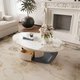 Hayaa Oval Sintered Stone Coffee Table with Storage: 