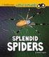Splendid Spiders (Paperback): Melissa Higgins