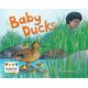 Baby Ducks (Paperback): Jay Dale