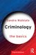 Criminology - The Basics (Paperback, 3rd Edition): Sandra Walklate