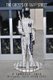The Ghosts of 161st Street - The 2009 Yankees Season (Paperback): David J. Joyce