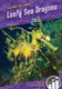 Leafy Sea Dragons (Hardcover): Julie Murray