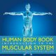 Human Body Book Introduction to the Muscular System Children's Anatomy & Physiology Edition (Paperback): Baby Professor