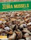 Invasive Species: Zebra Mussels (Hardcover): Martha London