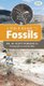 A Field Guide to Fossils (Pamphlet): W. Scott Persons