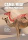 Camel Meat and Meat Products (Hardcover, New): A. Bekhit