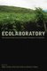 The Ecolaboratory - Environmental Governance and Economic Development in Costa Rica (Hardcover): Robert Fletcher, Brian...