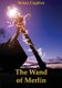 The Wand of Merlin (Paperback): Ronan Coghlan