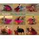 Bullfight - The Pas de Deux (Hardcover): Ricardo B. Sanchez