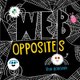 Web Opposites (Board book): Rob Hodgson
