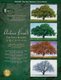 Vivaldi: The Four Seasons for Flute - Music Minus One Flute (Book): Antonio Vivaldi
