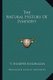 The Natural History Of Sympathy (Paperback): T. Sharper Knowlson