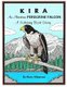 Kira, an Alaskan Peregrine Falcon - A Coloring Book (Paperback): Mary Albanese