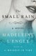 The Small Rain - A Novel (Paperback): Madeleine L'Engle