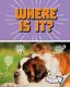 Where Is It? - A Turn-and-See Book (Hardcover): Cari Meister